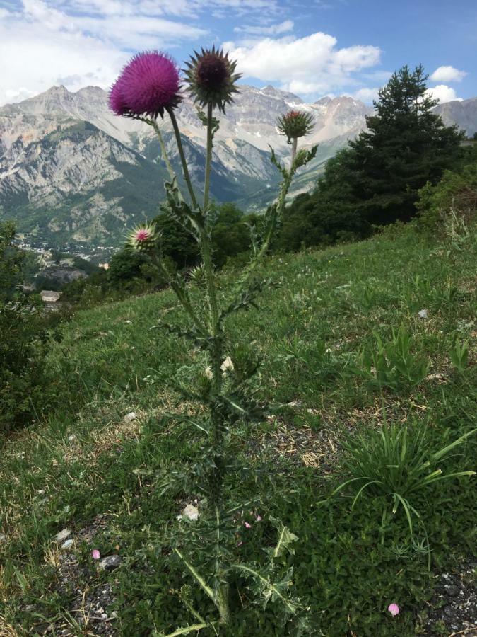 Apartment Grangia In Borgo Antico Bardonecchia